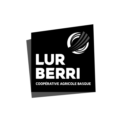 Lur-Berri-Logo